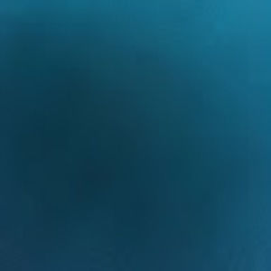 Meet your Posher, Kaitlin